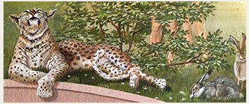 Kirchenmalerei im Institut St- Philipp Neri, Berlin