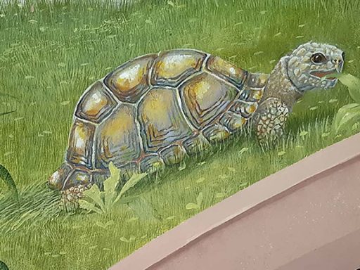 Detail mit Schildkröte