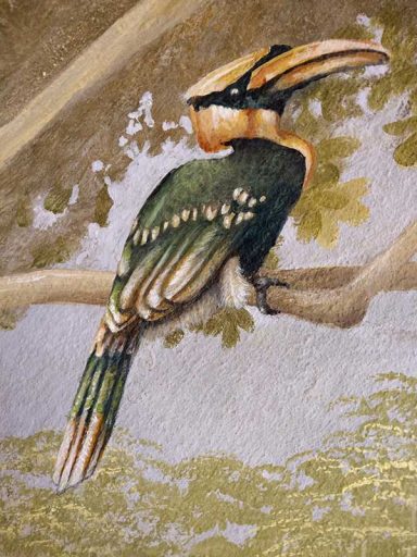 Detail mit Doppelhornvogel